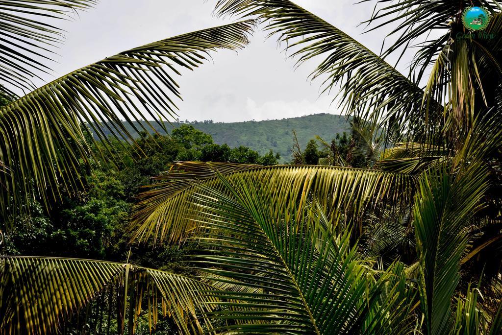 Green View Apartamento Thekkady Exterior foto