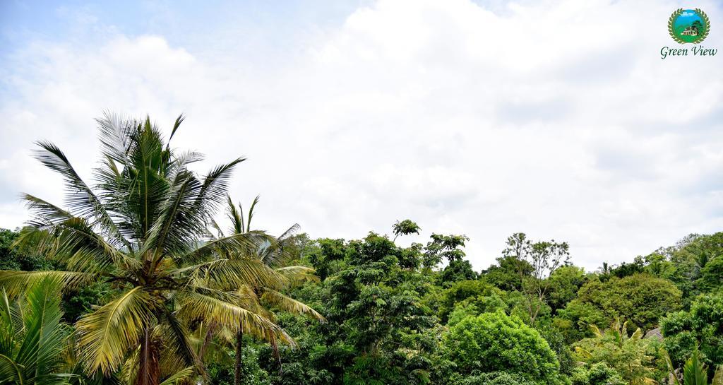 Green View Apartamento Thekkady Exterior foto